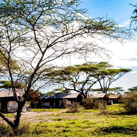 Serengeti Savannah Camps Hotel Soronera Bagian luar foto