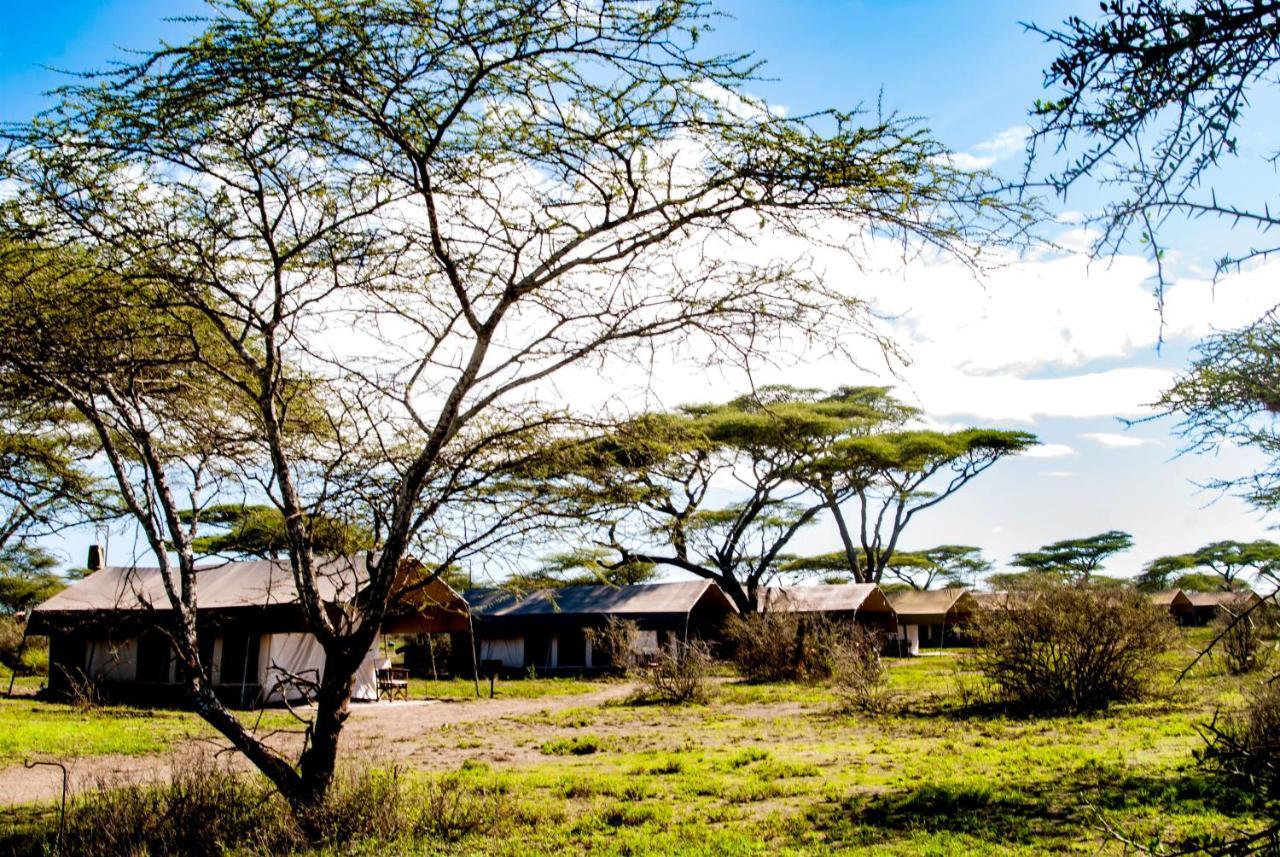 Serengeti Savannah Camps Hotel Soronera Bagian luar foto