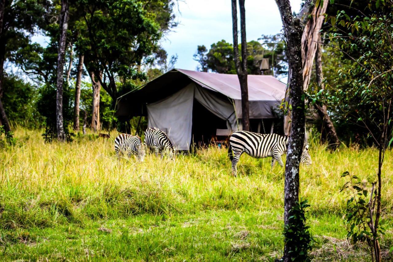 Serengeti Savannah Camps Hotel Soronera Bagian luar foto