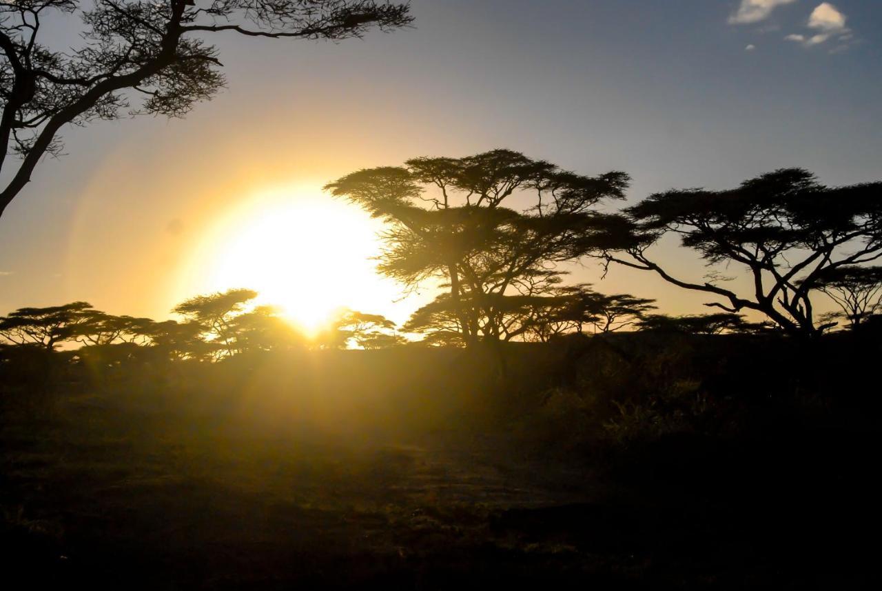 Serengeti Savannah Camps Hotel Soronera Bagian luar foto