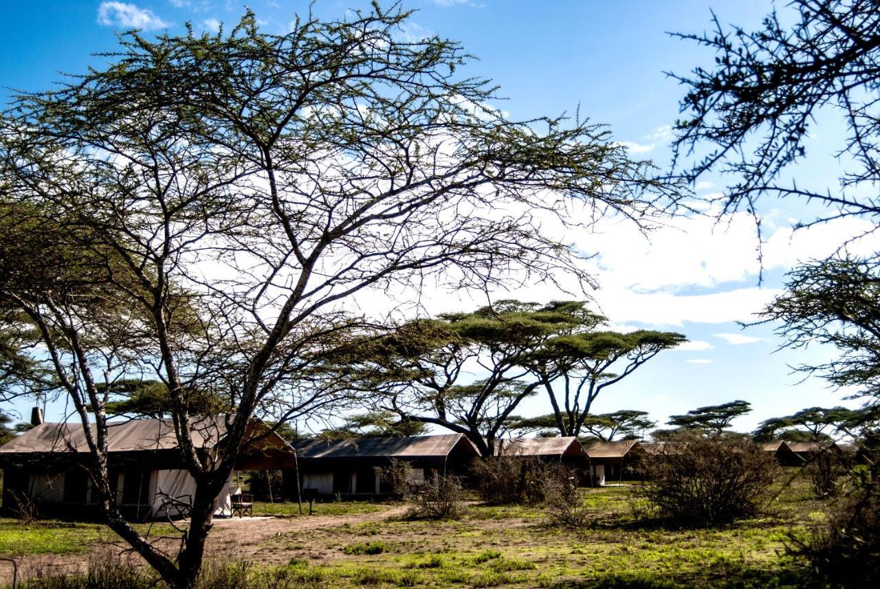 Serengeti Savannah Camps Hotel Soronera Bagian luar foto