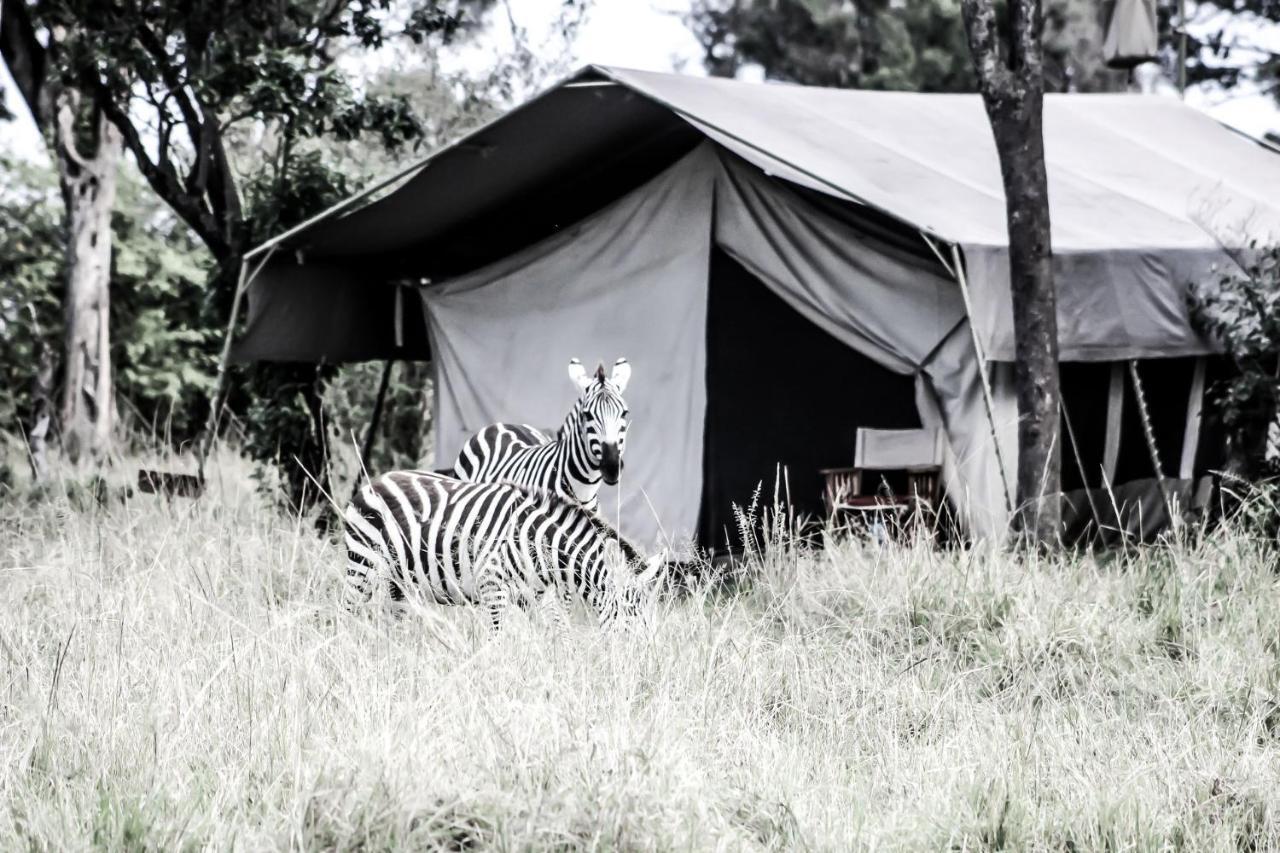 Serengeti Savannah Camps Hotel Soronera Bagian luar foto