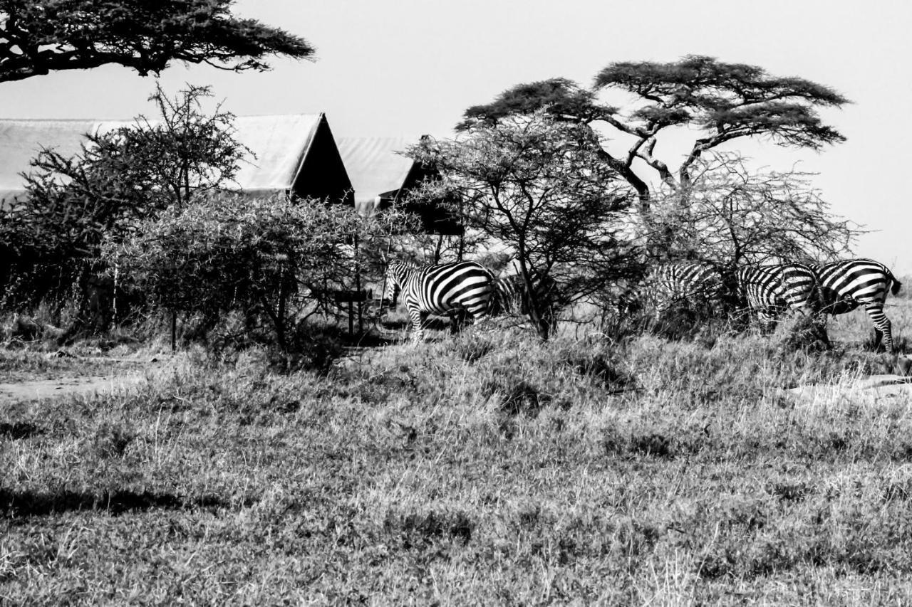 Serengeti Savannah Camps Hotel Soronera Bagian luar foto